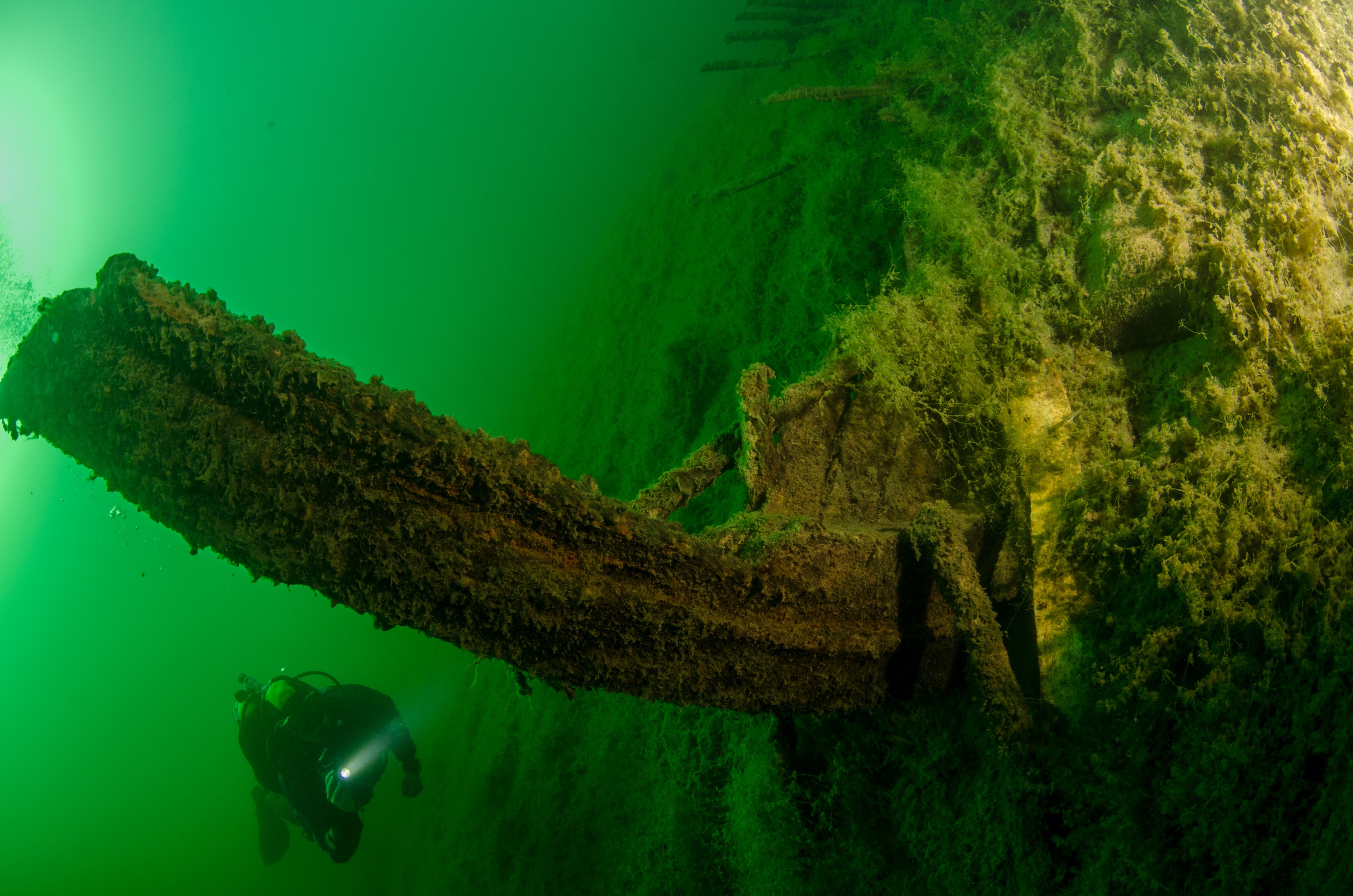 DSC_2906 – Crispin, nz, new, zealand, new zealand, freshwater, lakes, Waikaremoana, whaling, boat, wreck, 1869, secret, hard to find, history, maori, war,